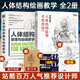 2本套 人體結(jié)構(gòu)原理與繪畫教學(xué)+游戲動漫人體結(jié)構(gòu)造型手繪技法(第2版) 人民郵電出版社 肖瑋春 著等 書籍 圖書