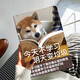 琪昱2024iPadair11英寸保護套蘋(píng)果平板Pro11四角全包防摔air6硅膠軟殼卡通皮套a2904新款蘋(píng)果電腦外殼 愛(ài)學(xué)習 配鋼化膜 ipad10代/ipad11代2025款