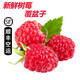 【順豐航空】新鮮樹莓 覆盆子 紅樹莓 新鮮水果  獨(dú)立包裝 紅樹莓4盒*125g/盒
