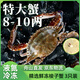 遇上鮮 舟山梭子蟹 海鮮 冷凍白蟹公蟹 凈含量2.6斤（8-10兩/只） 源頭直發(fā)