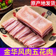 一米漁 金華風(fēng)肉風(fēng)干咸肉五花肉家鄉(xiāng)腌肉豬肉腌篤鮮浙江土特產(chǎn)臘味批發(fā) 金華風(fēng)干咸肉500克【五花肉】