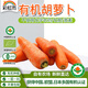 彩虹雨有機胡蘿卜500g 有機蔬菜歐盟認(rèn)證 北京有機農(nóng)場自有基地新鮮直發(fā)
