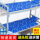 睿鵬 水床墊夏季學生宿舍降溫水墊冰墊家用水袋涼墊水床墊大號雙人充氣注水床涼墊子 75*180CM深水滴+注水管+枕頭x1+修補包