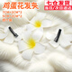 璇洛臻品 雞蛋花發(fā)夾耳邊發(fā)夾夏日頭花夾裝飾夾發(fā)飾邊夾女側(cè)邊夾子頭飾 7cm2個裝+5cm2個裝