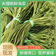 云南特產(chǎn)水性揚花洱海菜特色網(wǎng)紅菜大理海菜花水性楊花新鮮蔬菜 1斤