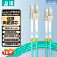 山澤(SAMZHE)電信級萬兆光纖跳線 LC-LC多模雙芯OM3-300 低煙無鹵入戶光纖線 收發(fā)器尾纖15米G3-LCLC15