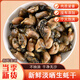 漁域淡曬金蠔干 湛江特產(chǎn)生蠔干 煮粥食材 野生牡蠣干蠔豉干海蠣子 中蠔干500g【約160-200顆】