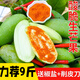 卉雙當季新鮮酸芒果5斤生吃酸脆青芒果現摘現發(fā)酸爽海南水果 酸芒果 帶箱5斤（家庭裝）
