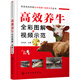 畜禽高效養(yǎng)殖全彩圖解+視頻示范叢書--高效養(yǎng)牛全彩圖解+視頻示范