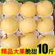 梨子新鮮現(xiàn)摘皇冠梨安徽碭山酥脆梨當(dāng)季水果雪梨整箱5 9斤大果