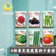 鳳鳴雅世蔬菜種子大全番茄黃瓜秋葵南瓜等6種果實(shí)類(lèi)蔬菜種子套餐