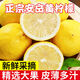 果真秀四川黃檸檬新鮮檸檬鮮果檸檬泡水新鮮水果檸檬1-9斤 1斤裝（單果90-110g）