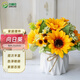 呂姆克仿真花假花盆栽娟花禮物畢業(yè)仿真花束帶花盆客廳擺件向日葵6033