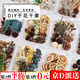 東之天地 干果干花樹葉DIY花材材料包香薰蠟燭天然植物松果永生花手工裝飾 干果干花花材盒【隨機(jī)一盒裝】