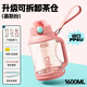 QWE運(yùn)動(dòng)水杯大容量噸杯噸桶耐高溫100度PPSU食品級(jí)茶水分離高顏值 慕斯粉-獨(dú)立茶隔1個(gè)1.6L