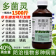 40%多菌靈花卉植物通用白粉病多肉果樹(shù)蔬菜土壤消毒農藥殺菌劑 1000g