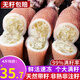 ?；蕿碀M籽筆管魚 海兔子新鮮母管鮮活冷凍籽烏小魷魚烏賊 火鍋食材 【99%含籽】 2000g(凈重)