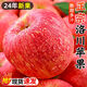陜西洛川高山紅富士蘋果新鮮應季水果脆甜多汁產(chǎn)地整箱現(xiàn)摘 凈重8.5斤大果（80mm+）