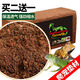 BARBAROUS GROWTH 椰土無菌烏龜冬眠土爬蟲墊材保濕蜘蛛角蛙爬寵用品 椰磚1塊
