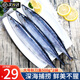尚致秋刀魚鮮活冷深海魚新鮮海捕日料生鮮燒烤食材海鮮魚類 秋刀魚2斤