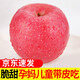 柏果瑞【順豐快遞】甘肅靜寧蘋果 蘋果水果  時(shí)令蘋果新鮮水果禮盒 精選75-80mm大果12枚（凈重5斤）
