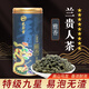 藝顏堂（EYANTOM）海南特產(chǎn)蘭貴人茶 2025明前新茶 特級五指山蘭貴人烏龍茶茶葉禮盒 九星雅香型蘭貴人 250g*1罐