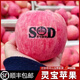 靈寶蘋果 LINGBAO APPLE順豐靈寶寺河山蘋果SOD紅富士富硒孕婦水果富硒脆甜平安果禮盒裝 85mm-90mm(不含)無SOD字15果禮盒