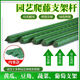 衛(wèi)東包塑鋼管支架桿家用植物花架子室外庭院架桿豆角黃瓜爬藤架番茄架 直徑20mm長300cm【10支裝】