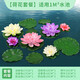 寵小帥仿真荷花造景魚(yú)缸水上漂浮假蓮花池塘裝飾品創(chuàng  )意生態(tài)景觀(guān)荷葉擺件