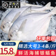 漁吻銀鯧魚(yú)新鮮冷凍大號平魚(yú)國產(chǎn)昌扁魚(yú)無(wú)冰白鯧魚(yú)海鮮水產(chǎn)鮮凍海昌魚(yú) 【5斤】3-4條/斤