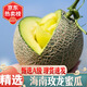 良蚨鮮海南玫隴瓜網(wǎng)紋瓜 整箱香甜蜜瓜新鮮哈密甜瓜當季靜崗現(xiàn)摘孕婦 5斤網(wǎng)紋瓜 2-4個