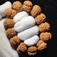 巧品 原生態(tài)尼泊爾大金剛菩提手串男士文玩佛珠姜黃皮五瓣爆肉雙龍紋 五瓣爆肉大金剛23mm