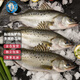 七冰東 海鱸魚(yú) 新鮮海捕整條活凍七星鱸魚(yú)深海魚(yú)生鮮 魚(yú)類(lèi)鱸魚(yú)海鮮年貨 3條海鱸（400-500g/條）