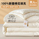 卡絲迪爾100%新疆棉花A類(lèi)被子空調被芯單雙人子母被純棉被褥墊被春秋冬季 米白【雙A類(lèi)標準 100%新疆棉花】 150x200cm秋冬被【約6斤】