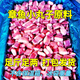魷魚粒商用新鮮章魚粒凍八爪須粒章魚須粒章魚足粒章魚小丸子食材 十斤裝 精選品質(zhì)【超劃算】S級