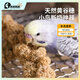 高能鸚鵡鸚鵡零食谷穗黃谷穗小米穗小鳥(niǎo)斷奶零食雜糧磨牙學(xué)吃天然麥穗飼料 【天然谷穗】3束