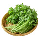 【富硒】香芹苗200g