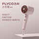 飛科（FLYCO）電吹風(fēng)機家用大功率負離子吹風(fēng)筒護發(fā)不傷發(fā)大風(fēng)力科技速干輕小巧 FH6356【清幽粉】