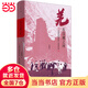 羌在漢藏之間：川西羌族的歷史人類學(xué)研究（《華夏邊緣》作者王明珂經(jīng)典力作，川西羌族全解）