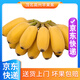 澮爺廣東茂名【高州蘋果蕉】2025新鮮特色香蕉農(nóng)產(chǎn)品水果當(dāng)季 蘋果蕉 3斤