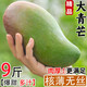 財(cái)萊樂(lè)大青芒芒果新鮮青皮金煌芒當(dāng)季水果青甜心特大整箱辣椒生芒芒果 5斤【3-5個(gè)裝】單果450g起
