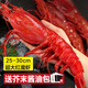 東上御品 超大紅魔蝦1斤3-4只 西班牙 胭脂蝦魔鬼紅蝦刺身級年貨-源頭直發(fā)