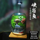 生命之樹苔蘚微景觀桌面生態(tài)瓶免打理辦公室盆栽真植物耐養(yǎng)禮物 峽谷魚+植物燈