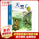 天黑了 曹文軒純美小說系列全集兒童文學 江蘇少年兒童出版 老師推薦小學生三四五六年級課外閱讀書籍