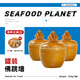 海澤鮮 金湯佛跳墻 即食鮑魚海參私房菜大盆菜高檔年夜飯 【帶罐發(fā)貨】500克*3罐