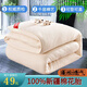 新疆棉花被春秋被芯被子 100%純棉花棉絮棉胎單雙人學(xué)生宿舍墊被精梳棉被加厚保暖冬被 約4斤千層棉 150*200cm【單人被芯】