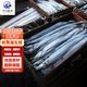 秋詩(shī)鮮湘精品釣帶魚(yú)特大鮮凍 帶魚(yú) 整條刀魚(yú) 海鮮水產(chǎn) 生鮮魚(yú)類(lèi) 10斤裝（半斤一條）