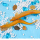 黃金泥鰍觀(guān)賞魚(yú)清潔魚(yú)冷水金龍?chǎng)q清道夫垃圾魚(yú)金龍練手耐活好養 12-15cm5條+1包飼料