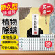 滿盾螨蟲天敵除螨包床上殺螨驅蟲除螨天然草本植物祛螨蟲凈螨貼25包裝