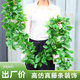 黛暢仿真裝飾遮擋綠植藤條藤蔓假樹葉塑料花下水管道空調(diào)管子綠葉花藤 66葉葡萄葉（2條）